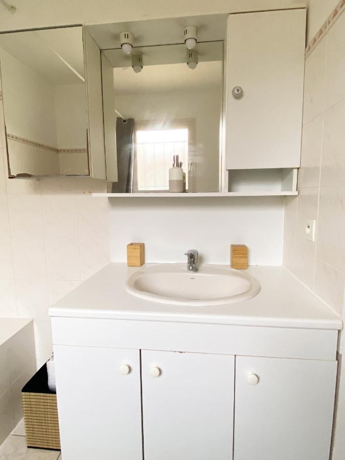 Villa Avec Jardin 600M² Netflix Proche Toulouse Colomiers Ngoại thất bức ảnh