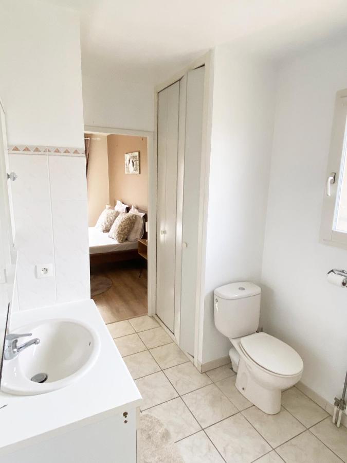 Villa Avec Jardin 600M² Netflix Proche Toulouse Colomiers Ngoại thất bức ảnh